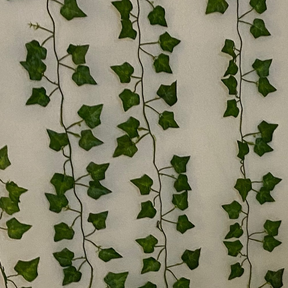 Meet your Posher, Malia